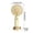 Coffee, variant on Cute Portable Handheld Mini Fan USB Rechargeable Personal Cooling Fan with Detachable Base, 3 Speeds Adjustable Pocket Fan for Outdoor Travel Office Summer, 6.50x2.95x2.36 inch