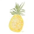 thumbnail image 3 of James, Nola 15x15 Black Modern Framed Museum Art Print Titled - Pineapple, 3 of 5