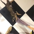 thumbnail image 2 of Leather Puppy Dog Bite Rag Tug Toys With Handle For Puppy Police Dog Training Bite, 2 of 3