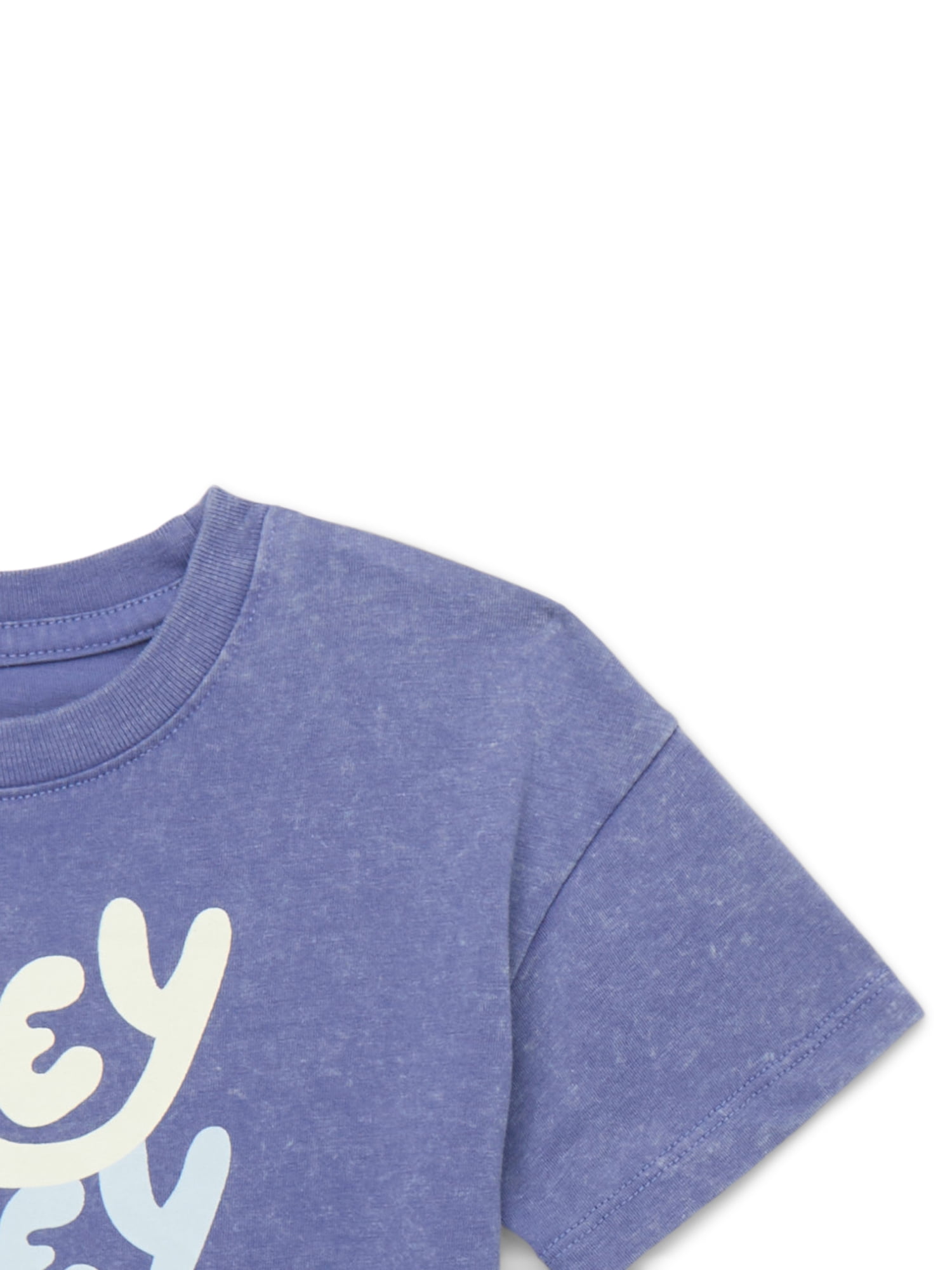 Bluey Toddler Graphic Crewneck Tee with Short Sleeves, Sizes 12M-5T