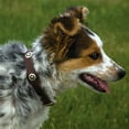 thumbnail image 2 of Weaver Leather Lonestar Collar 5/8in Rich Brown 13IN, 2 of 2