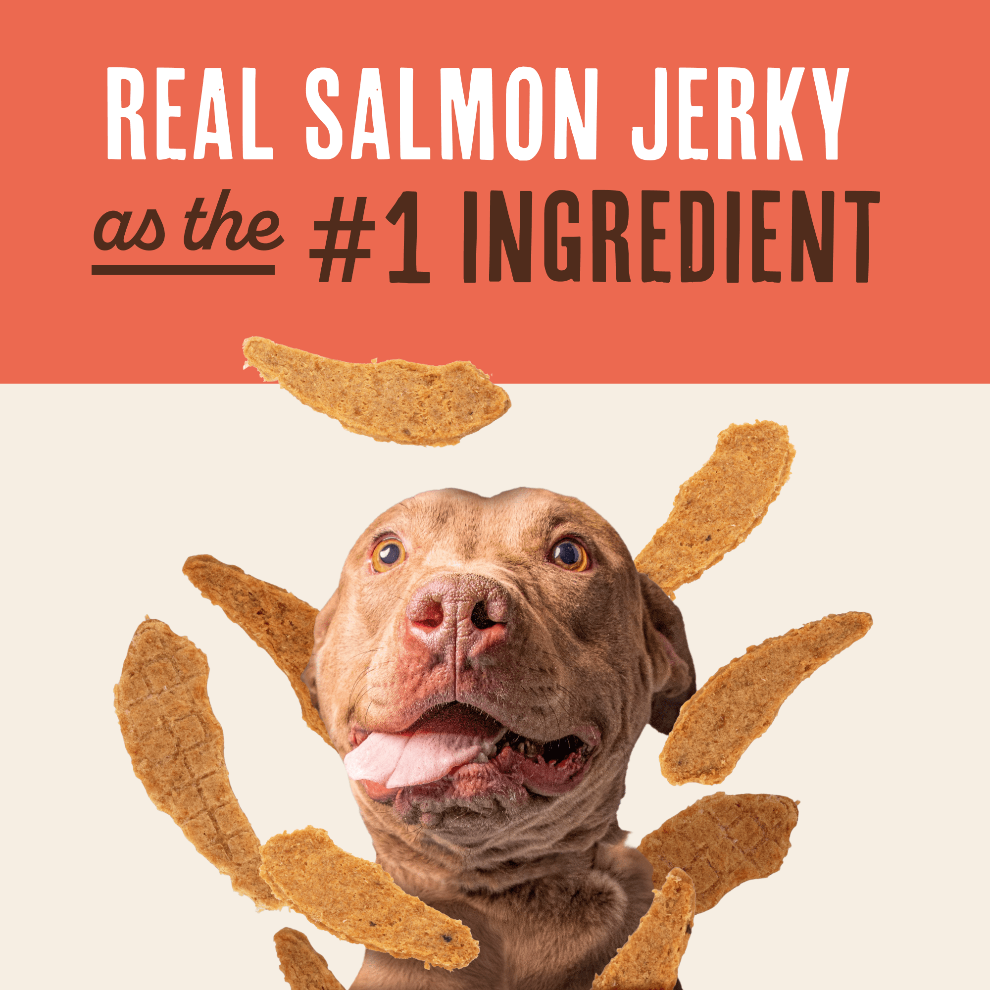 (6 pack) Waggin' Train Salmon Jerky for Skin & Coat Support , Dog Treats, 12oz Pouch