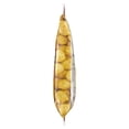 thumbnail image 3 of Utz Spicy Pickle Balls, 2.5 oz. - Pack of 5, 3 of 6
