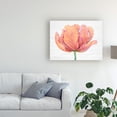 thumbnail image 3 of Trademark Fine Art 'Single Pink Bloom I' Canvas Art by Tim O'Toole, 3 of 3