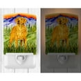 thumbnail image 2 of Caroline's Treasures SS8449CNL Chesapeake Bay Retriever Ceramic Night Light, 6x4x3", multicolor, 2 of 2