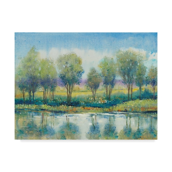 Trademark Fine Art 'River Reflection I' Canvas Art by Tim OToole