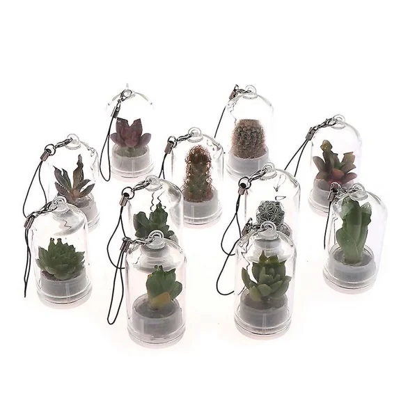 Cute Cactus Miniature Succulent Cacti Terrarium Wearable Necklace Live Plant