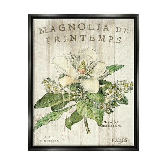 Stupell Industries French Magnolias In Spring Jet Black Framed Floating Canvas Wall Art, 16x20, by Sue Schlabach