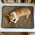 thumbnail image 5 of BotaniNest And Cat Self Heating Mat Heating Mat Self Heating Bed Small And Large Non Sleep Mat Comfortable Non Slip Washable Bottom, 5 of 5