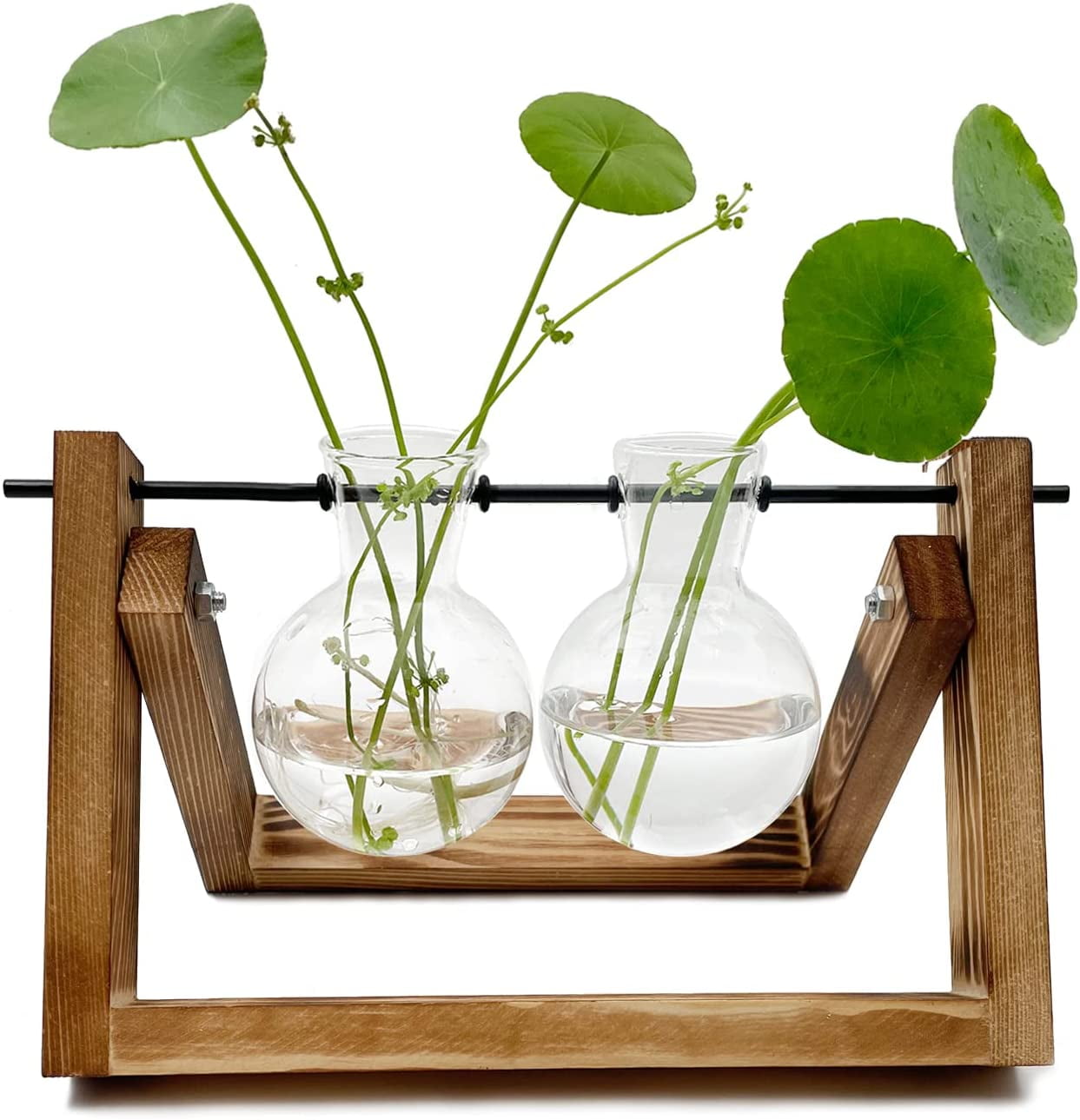 Plant Terrarium with Wooden Stand, Hanging Glass Plant Holder Ornaments