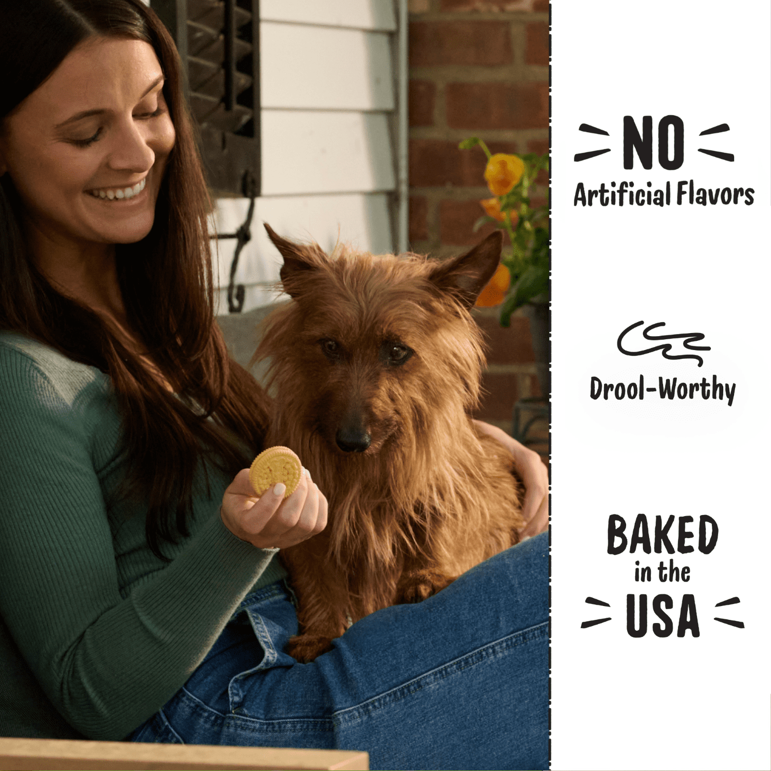 (2 pack) Three Dog Bakery Lick'n Crunch Dog Treat Sandwich Cookies, Blueberry Pie, 13 oz