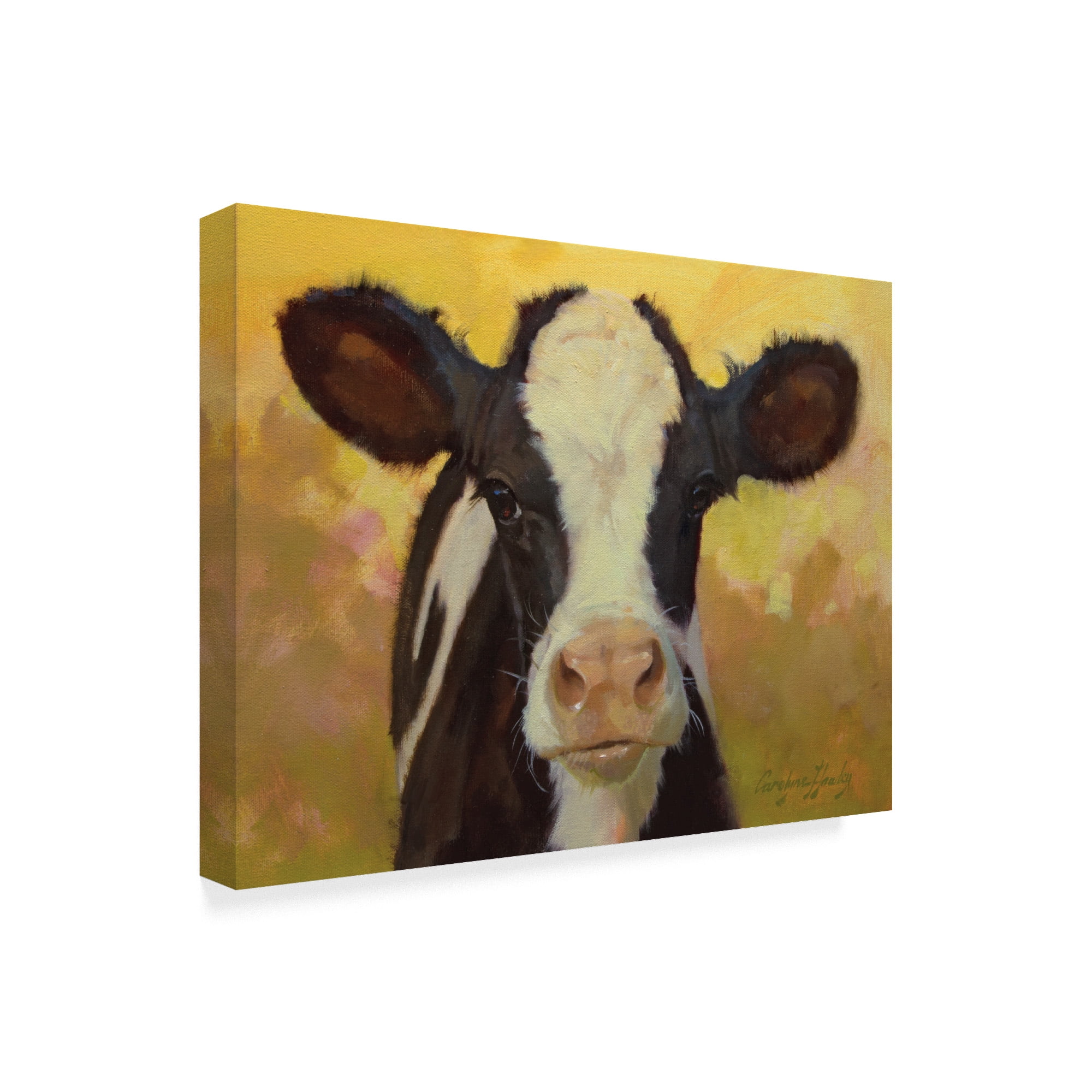 Trademark Fine Art 'Farm Pals III' Canvas Art by Carolyne Hawley