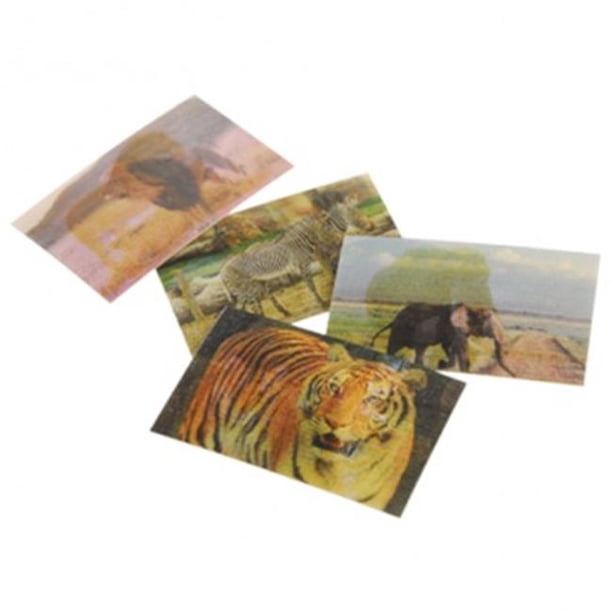 US Toy VL192X18 72 Piece Wild Animal Lenticular Stickers 12 Per Pack