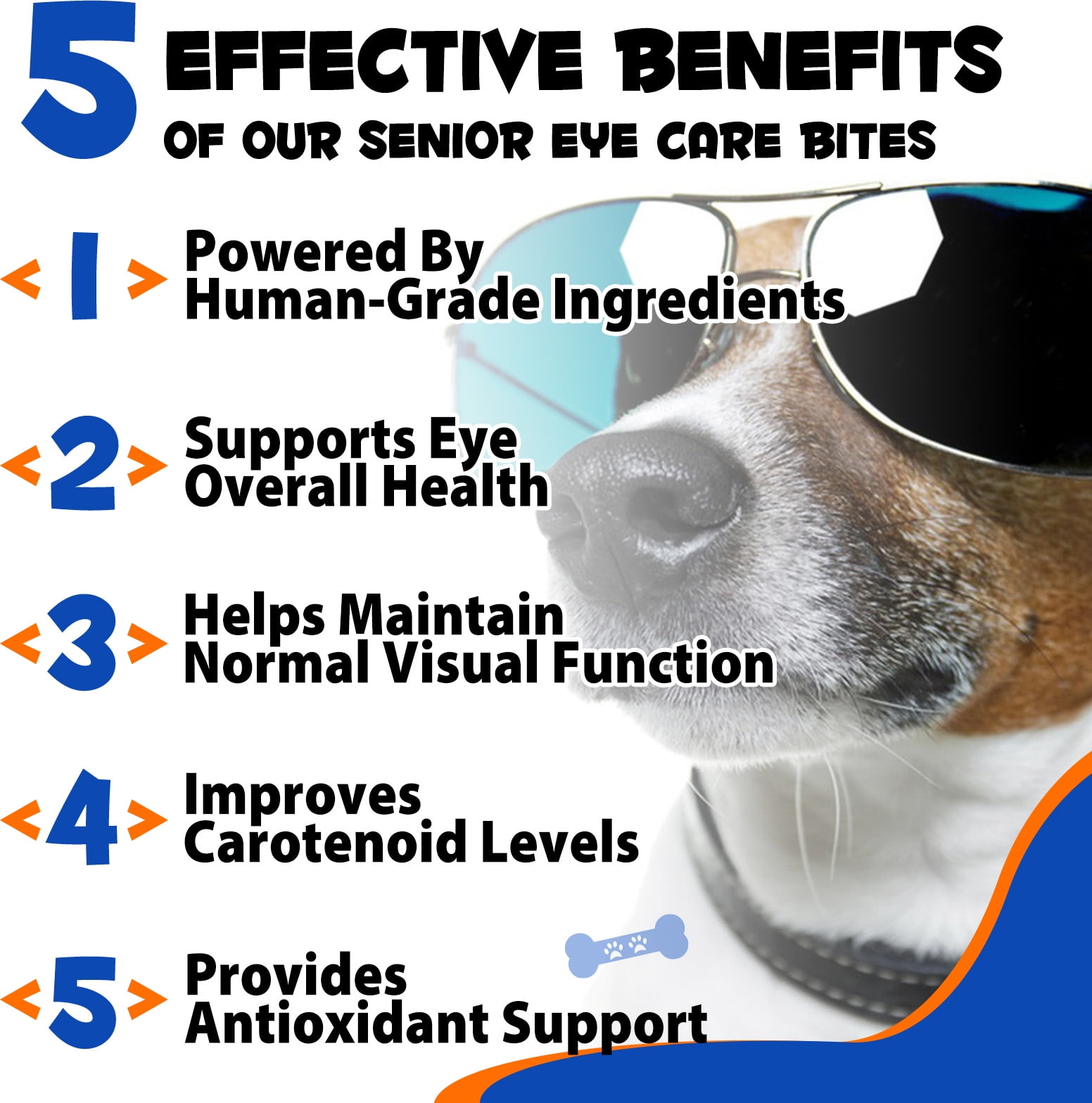 Oimmal Vision Supplement for Dogs, Tear Stain Support with Omega-3 Fatty Acids, Lutein, Bilberry Extract - Dog Vision & Immune Support Supplement - Beef Flavor 300 Chews