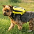 thumbnail image 5 of Saco deportivo K9 Dog Carrier Walk-On, tamaño pequeño, color antracita, negro, 5 of 5