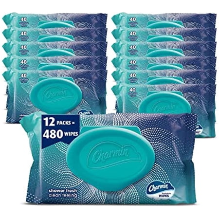 Charmin Flushable Wipes,40 Flushable Wipes, 480 Wipes Total (Packaging May Vary), 40 Count (Pack Of 12)