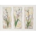 thumbnail image 2 of Withaar, Rian 24x18 White Modern Wood Framed Museum Art Print Titled - Aspects of orchids, 2 of 4