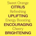 thumbnail image 4 of Plant Therapy Organic Sweet Orange Essential Oil 100% Pure, USDA Certified Organic, Undiluted 30 mL (1 oz), 4 of 8