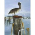 thumbnail image 3 of Pelican - 36"x48" canvas - Print on demand, 3 of 5