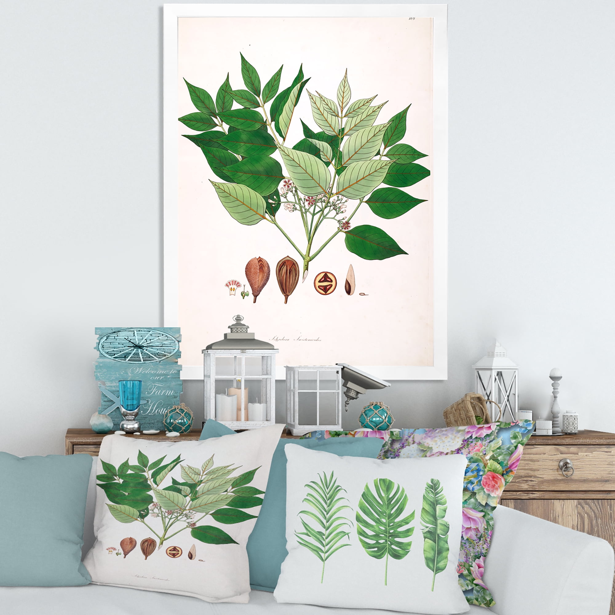 Designart 'Ancient Plant Life XII' Farmhouse Framed Art Print