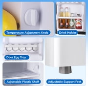 TACOOL Refrigerator with Top Freezer 2.4Cu.ft Two Door Small Mini Fridge for Person Use with Egg tray, White