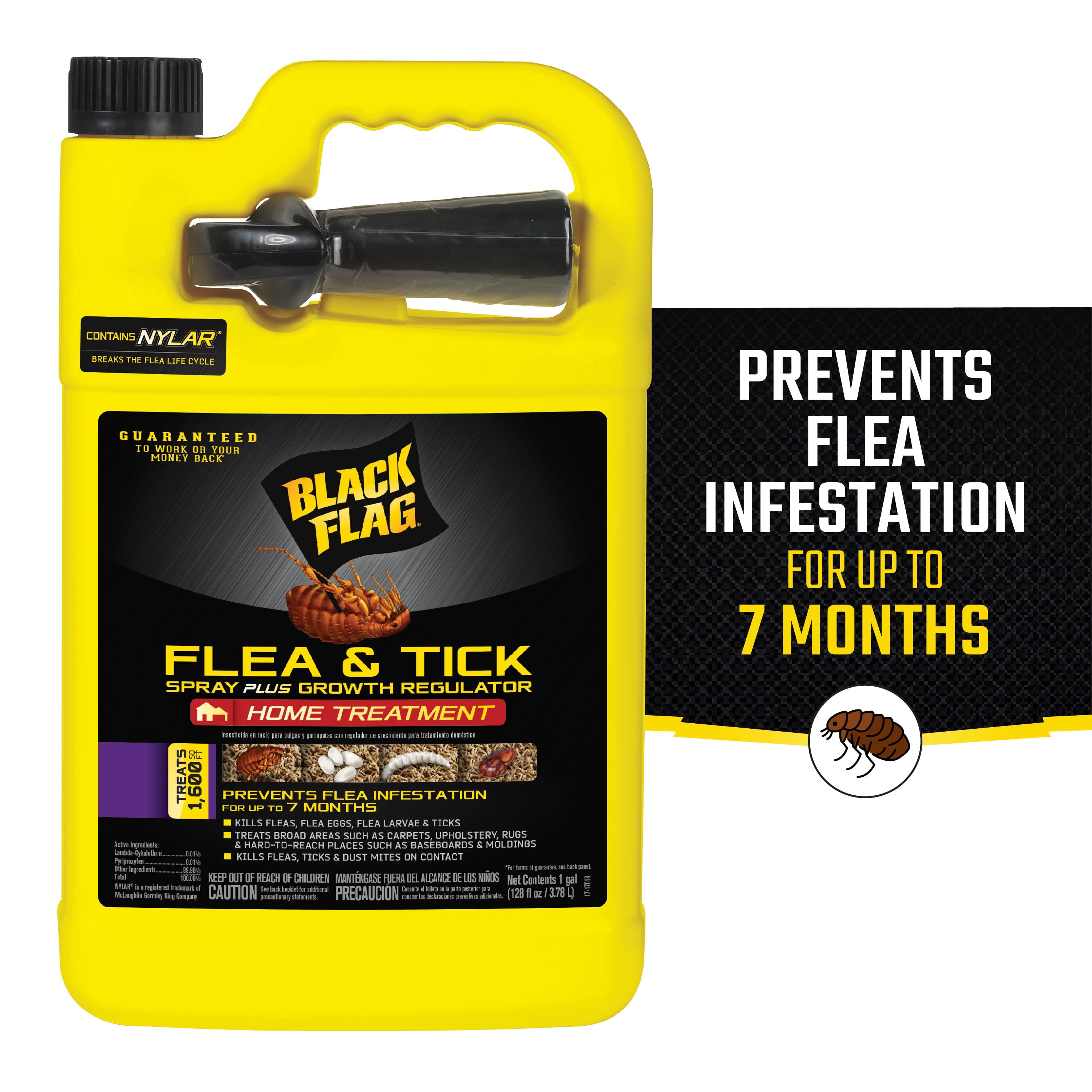 Black Flag Home Insect Control Plus Germ Killer, AccuShot, 1.33