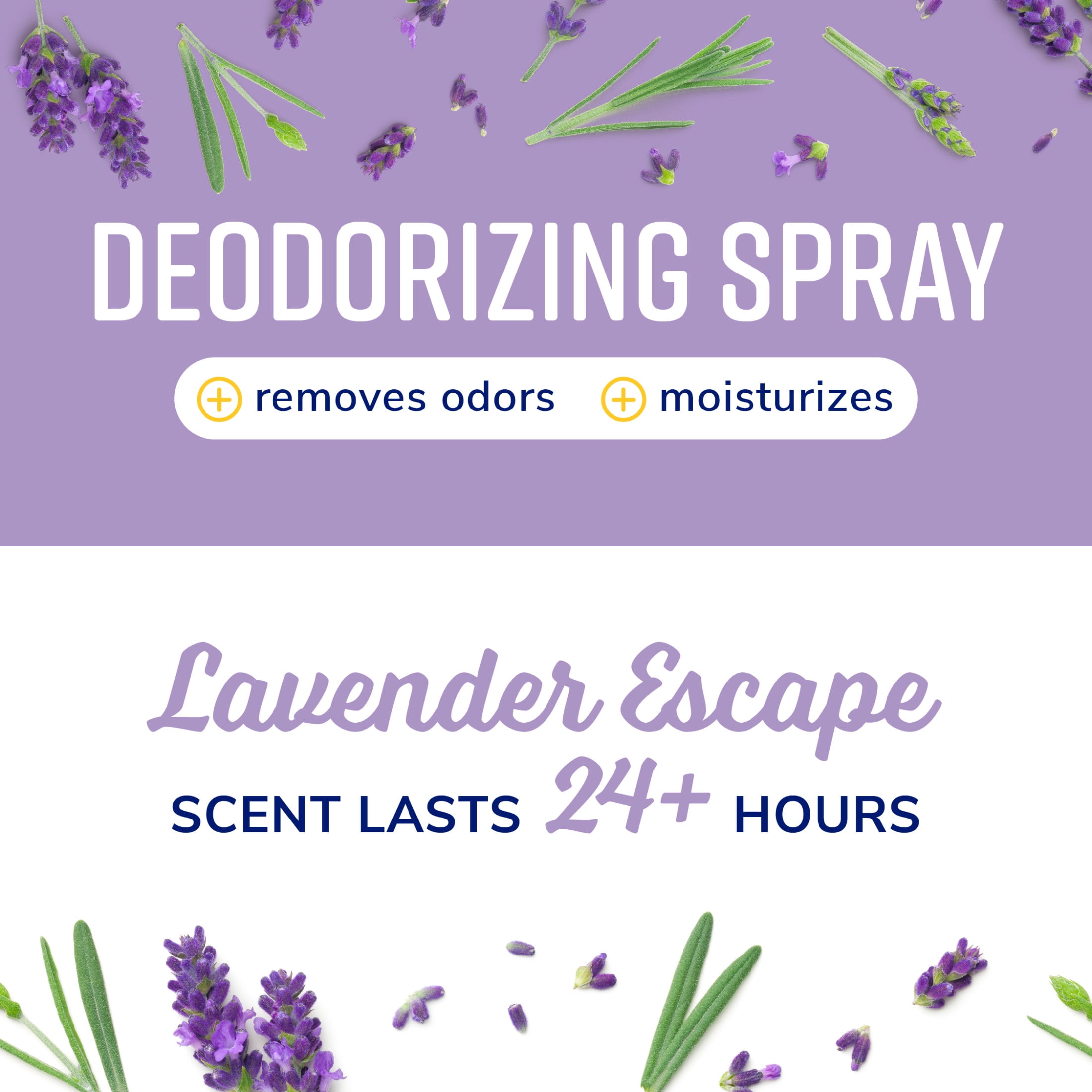 Naturel Promise Fresh & Soothing Lavender Escape Deodorizing Spray for Dogs, 8 fl oz