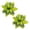 Green, variant on 2 Pcs Christmas Artificial Glitter Poinsettia Flowers,Christmas Tree Decoration,5.51 inch Glitter Poinsettia Flowers,Christmas Artificial Flowers for Tree Ornaments,Wreath, Mantel & Home Decor