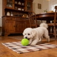 thumbnail image 6 of Squeaky Dog Ball Toy, Soft Rubber Interactive Chew Toy for Puppy Teething, Textured Bouncy Pet Play Ball for Small Medium Dogs, Colorful Fetch Toy for Indoor Outdoor Play, 6 of 8