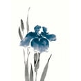 thumbnail image 3 of Paschke, Chris 14x18 Black Modern Framed Museum Art Print Titled - Japanese Iris III Crop Indigo, 3 of 5
