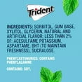 thumbnail image 6 of Trident Mint Bliss Sugar Free Gum, 12 Packs of 14 Pieces (168 Pieces), 6 of 6