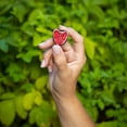 thumbnail image 4 of Tru Fru Frozen Raspberries in Dark & White Chocolate, 8oz, 4 of 7