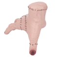 thumbnail image 4 of Figurine Main Ornement Haute Simulation Cicatrices Sculpture de Bureau en Latex, 4 of 21