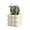 🍒 White_New#3868, variant on Artificial Cactus In Ceramic Pot Decor for Rooms Bathrooms Bedrooms and Offices