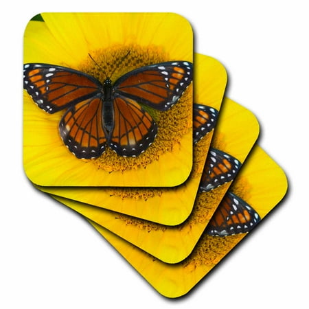 

3dRose Viceroy Butterfly a mimic of the Monarch Butterfly 01 - Soft Coasters set of 8