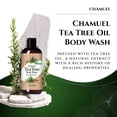 thumbnail image 2 of Lebel IAU Champú para el cabello limpiador y relajante 200 ml y Lebel IAU Tratamiento para el cabello reparador sedoso 200 ml, 2 of 5
