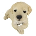 thumbnail image 5 of Lifelike Adorable Labrador Puppy Dog Lying On Belly With Crossed Arms Figurine, 5 of 8
