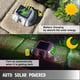 thumbnail image 2 of Luz LED solar Bewildely para camino de entrada impermeable color rojo 1 pieza, 2 of 6