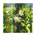 thumbnail image 4 of Jasmine's Street Monet - Canvas, 4 of 25