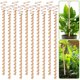 thumbnail image 1 of 10 estacas para plantas de electrocultivo, antenas de bobina de cobre de 11,5 pulgadas, estacas de jardín, plantación electrónica para exteriores, interiores y cultivos, 1 of 5