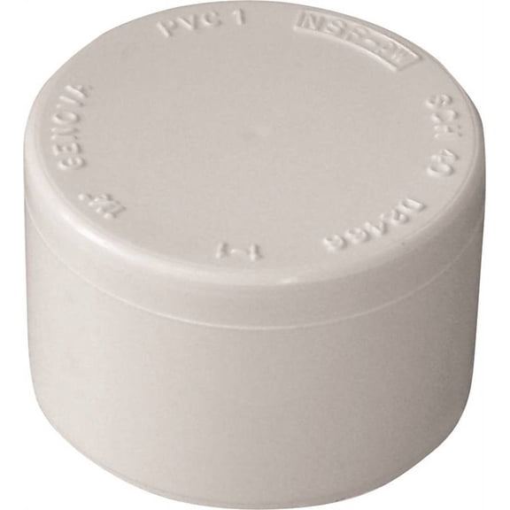 Charlotte Pipe Pressure Cap PVC Slip - Durable - 1.25 In