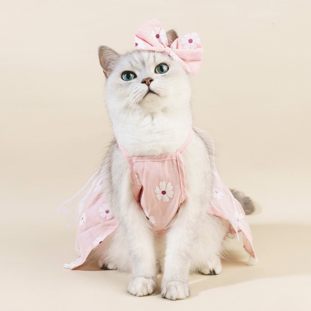 Floral Dog Cat Dress Cute Princess Dog Dresses with Bow, Lace Pet Birthday  Party Outfit Pet Clothes for Small Medium Cats Dogs Kitten - Small -  Walmart.com