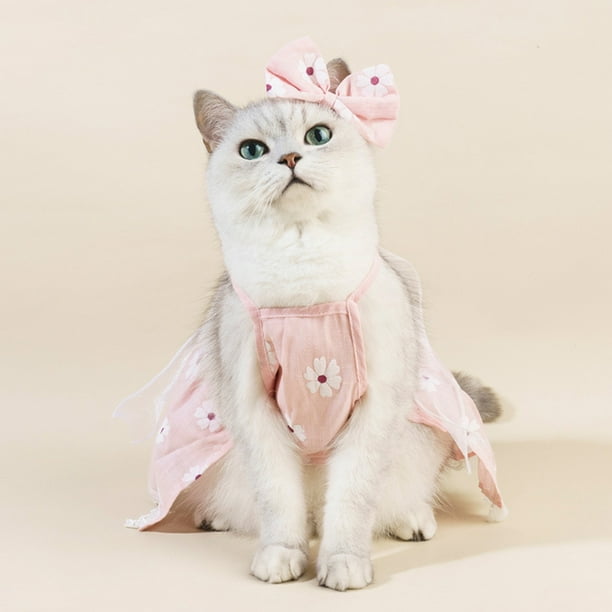 kitten pink dress Cute little kitten wearing a dress and socks laying on a pink table. Baby Scottish fold cat dressed up Stock Photo