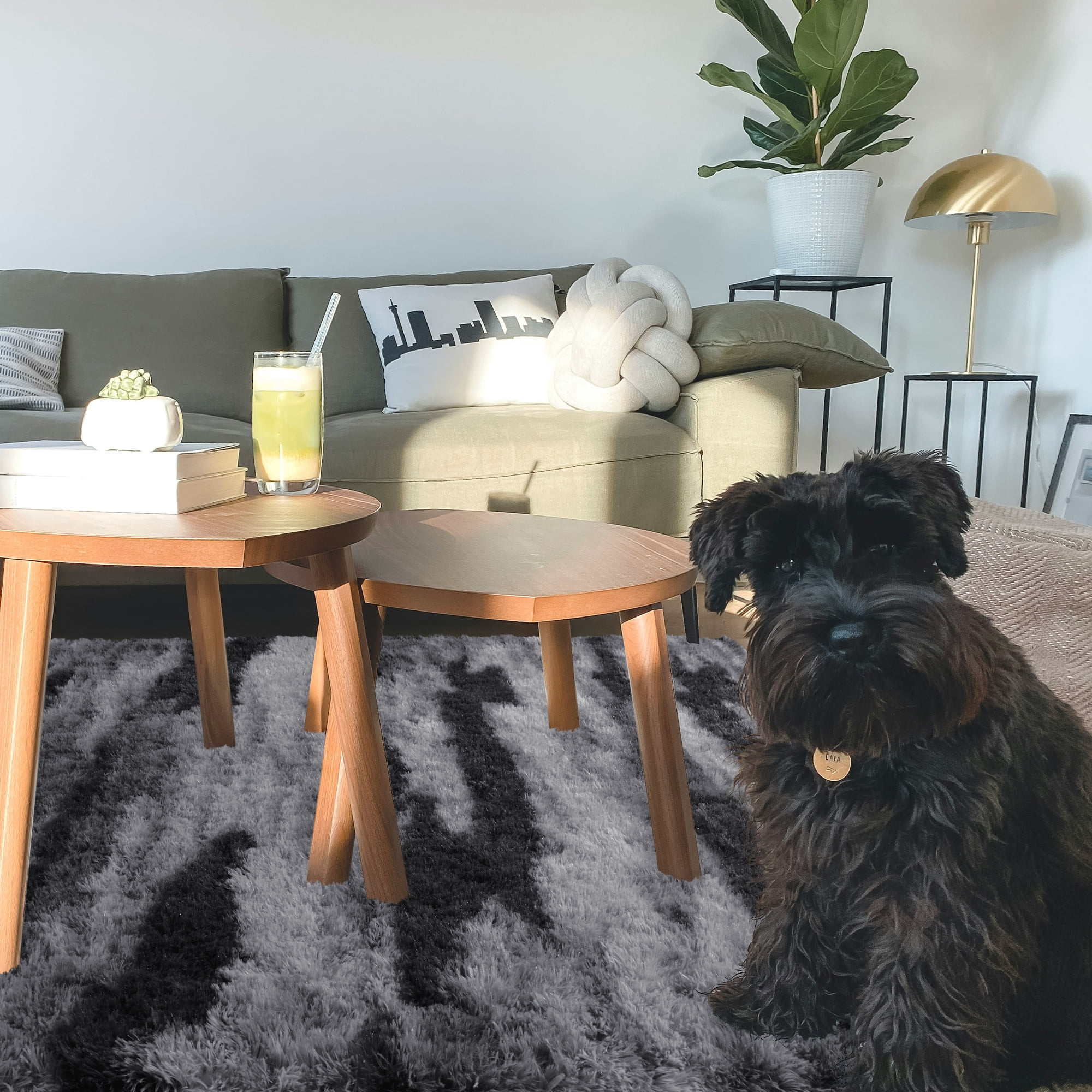 Cydiria Modern Charcoal Plush Area Rug Scandinavian Shaggy Carpet for Living Room, 8' x 10'