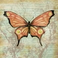 thumbnail image 3 of Brent, Paul 20x20 Black Modern Framed Museum Art Print Titled - Vintage Butterflies I, 3 of 5