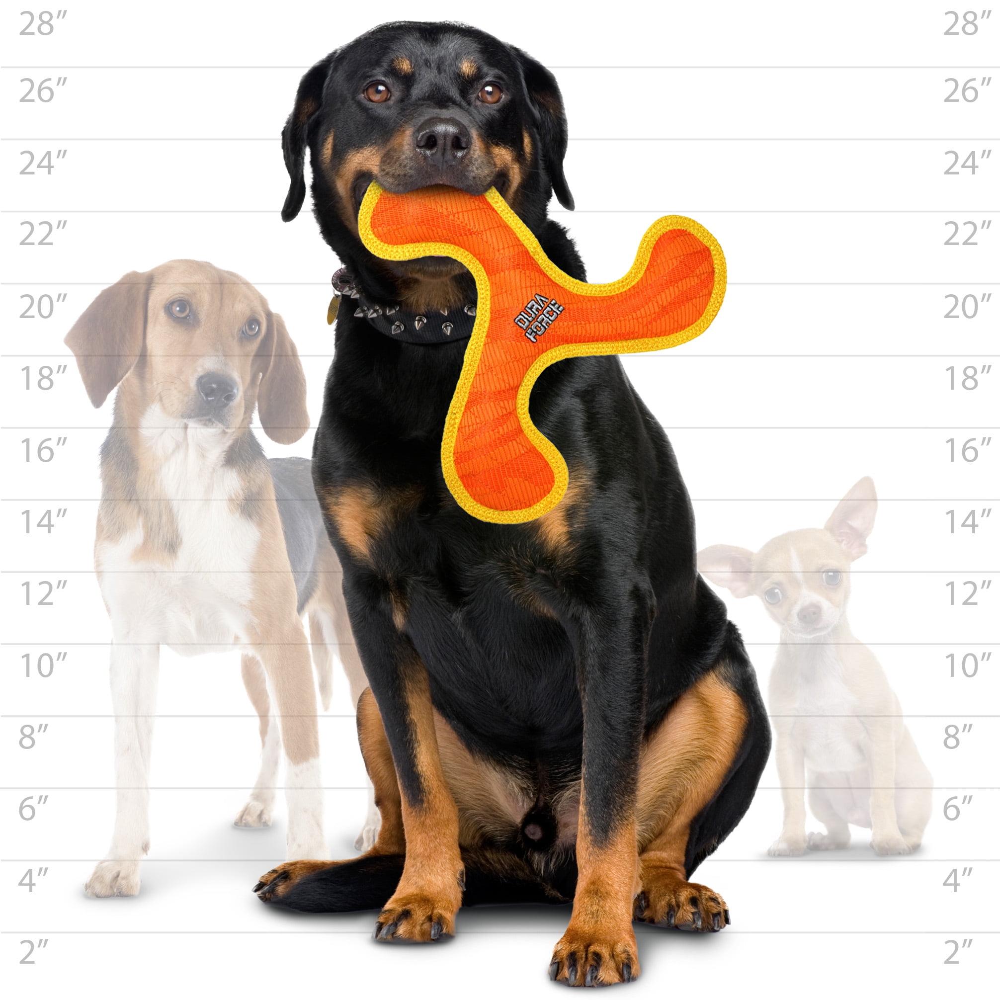 Duraforce - Durable Woven Fiber - Crab - Squeakers - Multiple Layers. Made Durable, Strong & Tough. Interactive Play Dog Toy (Tug, Toss & Fetch). Machine Washable & Floats (Combo Pack)