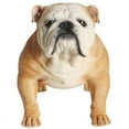 thumbnail image 2 of Petorama Handmade English Bulldog Resin Statue 1-4 in Caramel, 2 of 9