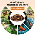 thumbnail image 5 of LuckyQworms Cricket Protein Treats – 1lb All-Natural Dried Crickets – Great for Chickens, Birds, Lizards & Frogs – USA Bug Snack, 5 of 10