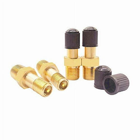 GODESON 1/8" NPT Tank Valve, 4 Pieces