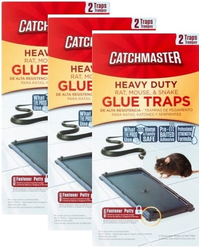 Rodent Rat Mouse Glue Traps 2 Pack Catchmaster Rat Mouse Snake Glue Boards Rodent Rat Mouse Glue Traps 2 Pack Catchmaster Rat Mouse Snake Glue Boards